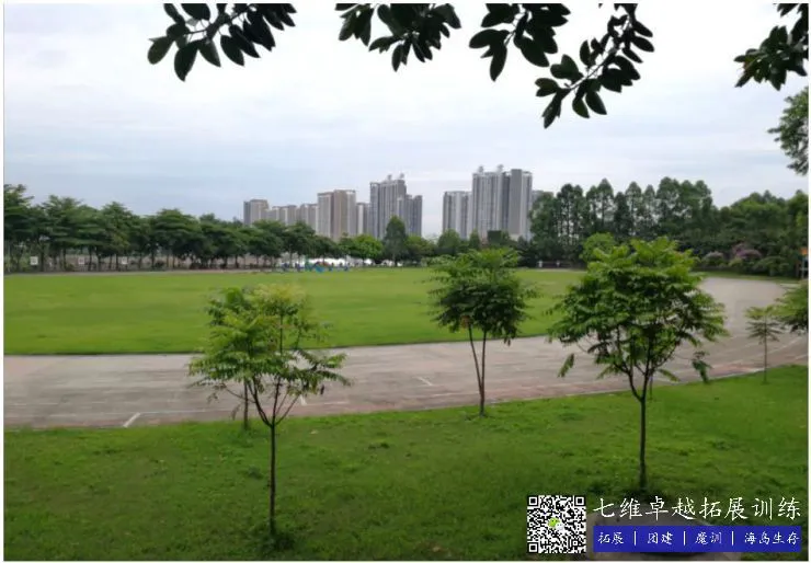 篮球训练的感悟心得体会怎么写三年级_1